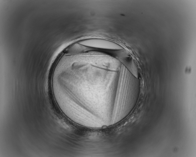 X0000099450200200805301520