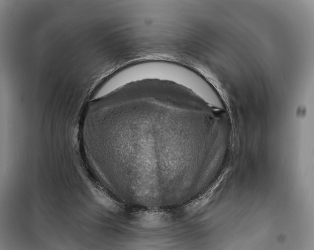 X0000099450201200805301520