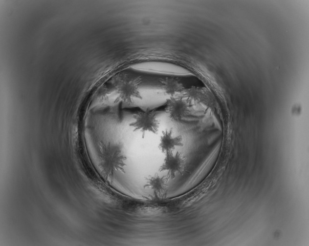 X0000099450202200805301520