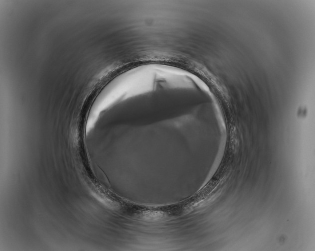 X0000099450203200805301520