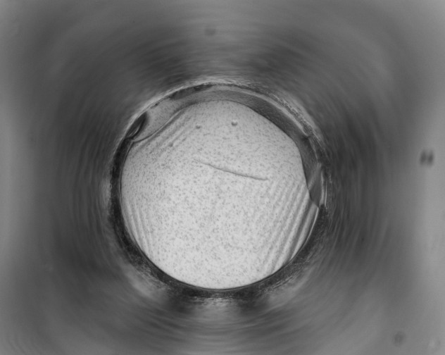 X0000099450204200805301520