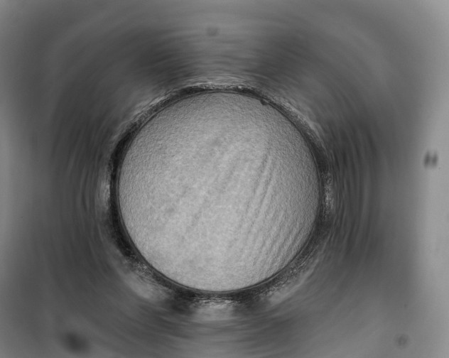 X0000099450206200805301520