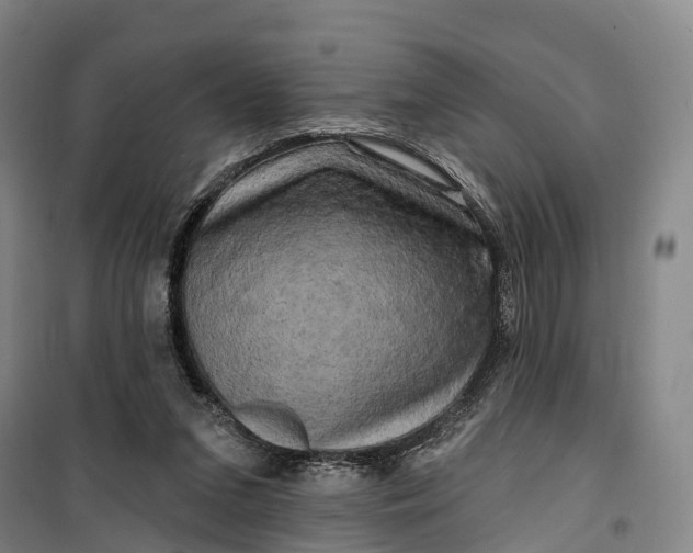 X0000099450207200805301520