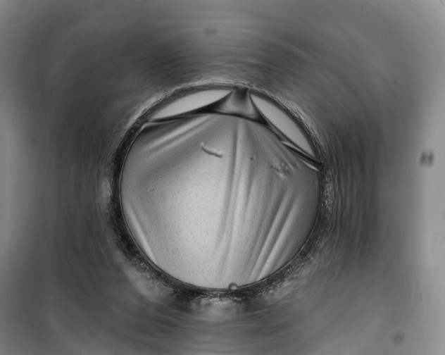 X0000099450208200805301520