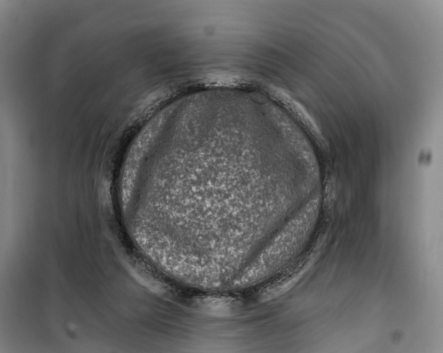 X0000099450209200805301520