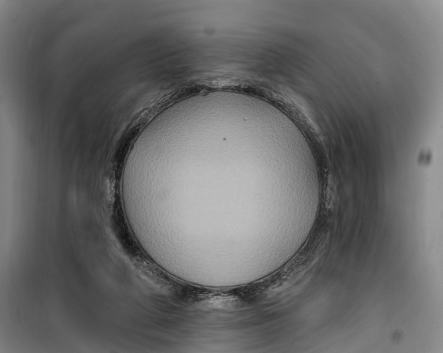 X0000099450210200805301520