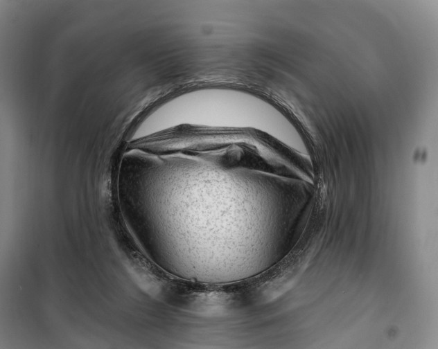 X0000099450212200805301520