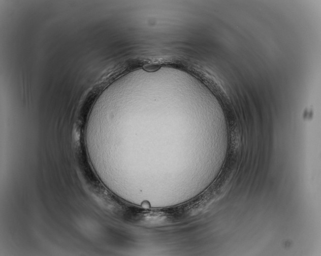 X0000099450214200805301520