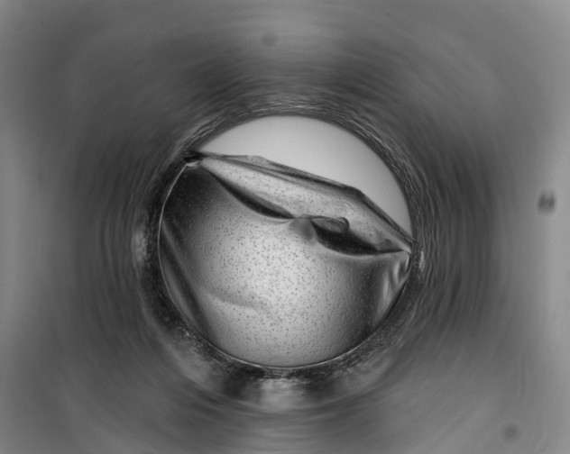 X0000099450216200805301520