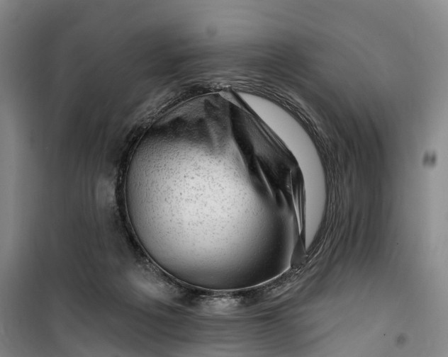 X0000099450217200805301520