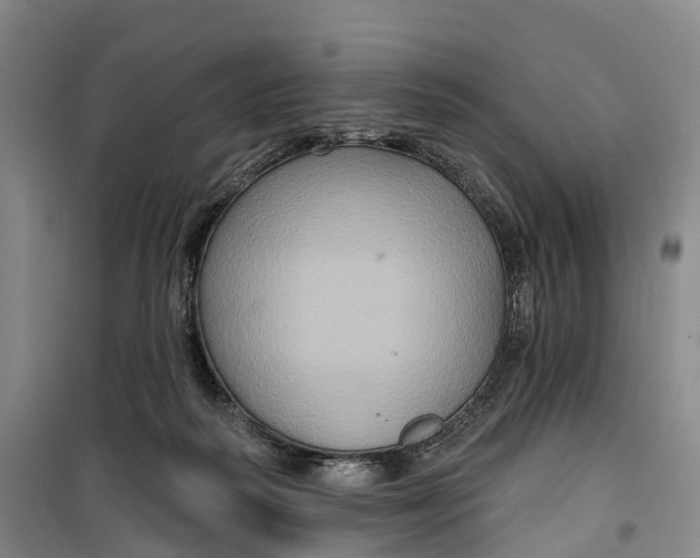 X0000099450218200805301520