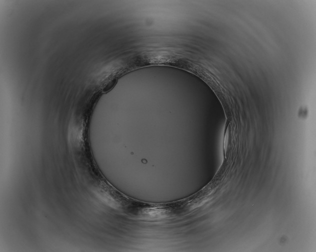 X0000099450219200805301520