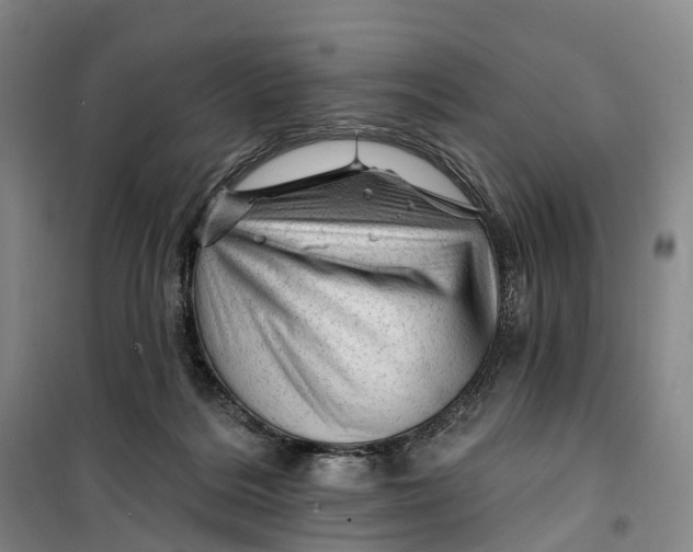 X0000099450220200805301520