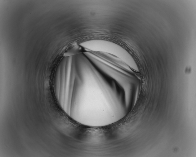 X0000099450221200805301520