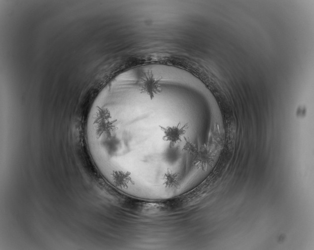 X0000099450222200805301520