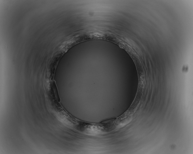 X0000099450223200805301520