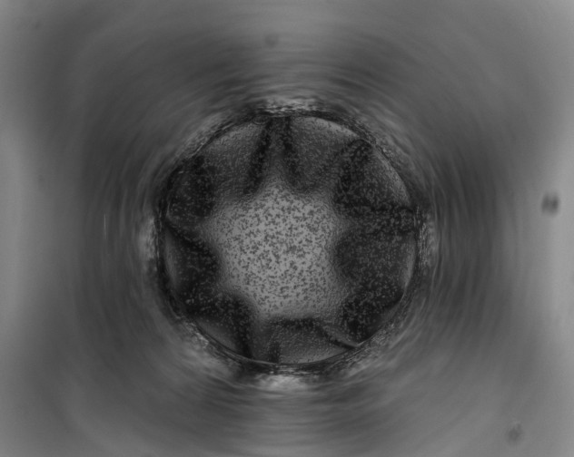 X0000099450224200805301520