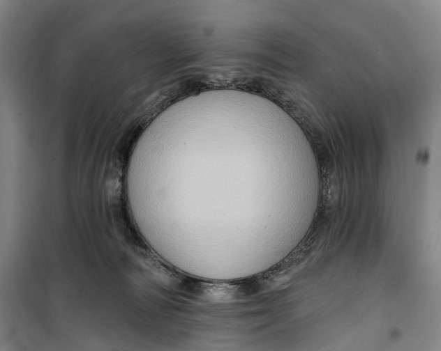 X0000099450226200805301520