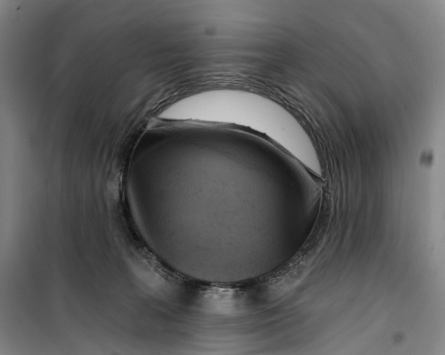 X0000099450227200805301520