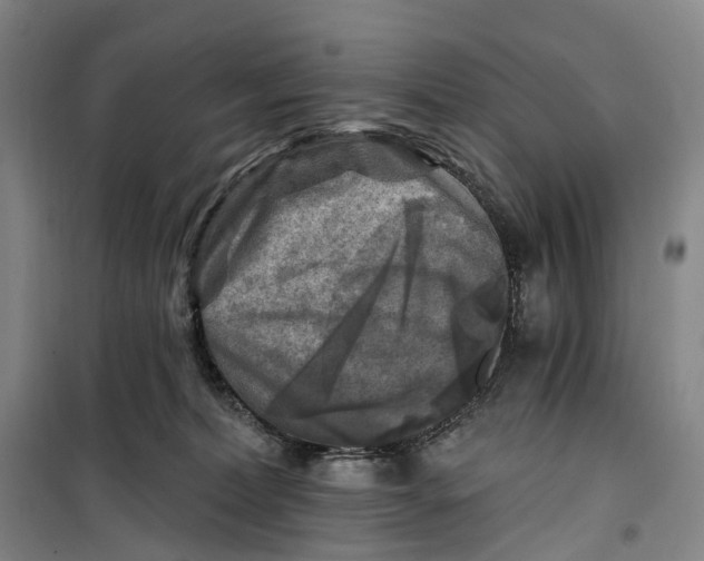 X0000099450228200805301519