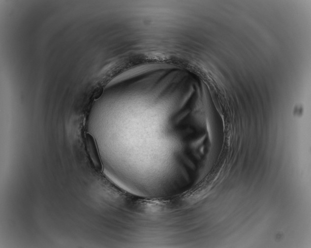 X0000099450229200805301519