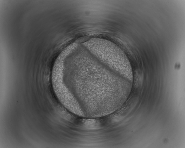 X0000099450230200805301519