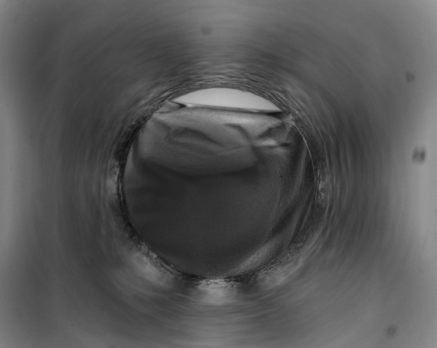 X0000099450231200805301519