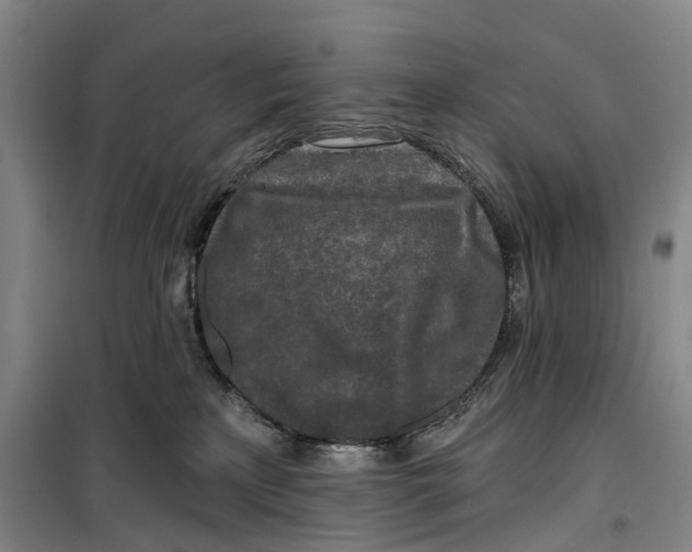 X0000099450233200805301519