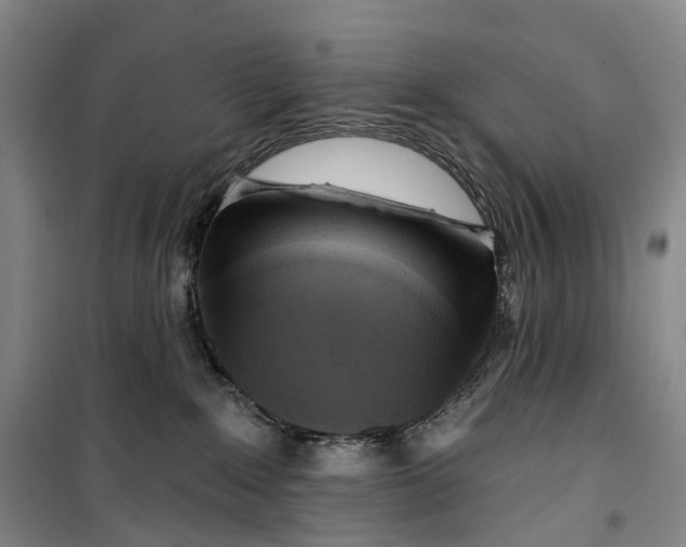 X0000099450235200805301519