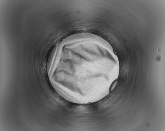 X0000099450236200805301519