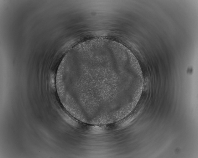 X0000099450238200805301519