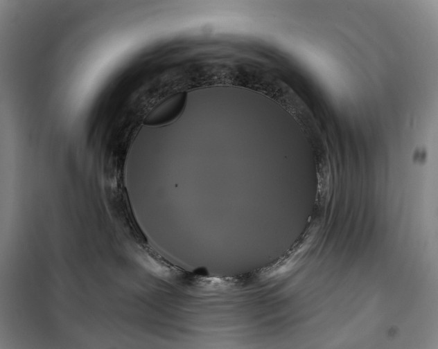 X0000099450239200805301519