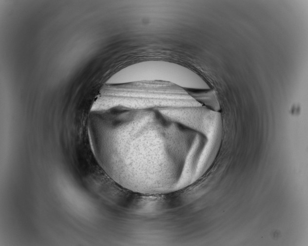 X0000099450240200805301519