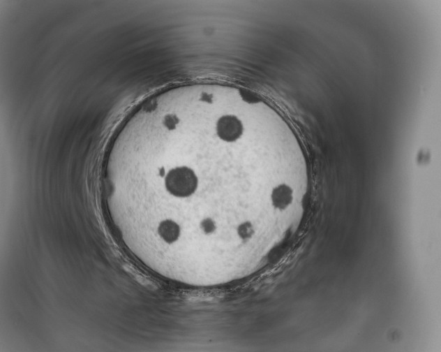 X0000099450241200805301519