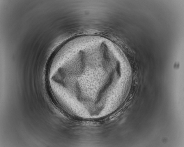 X0000099450242200805301519