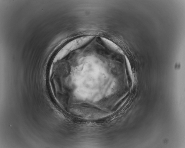 X0000099450243200805301519