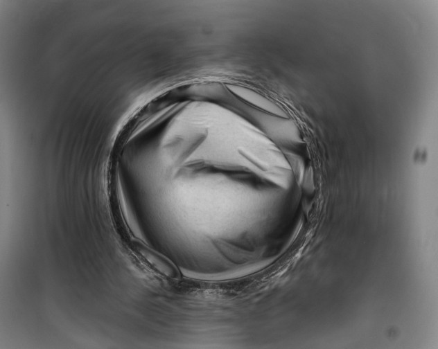 X0000099450244200805301519