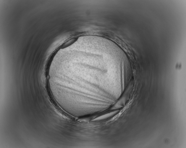 X0000099450245200805301519