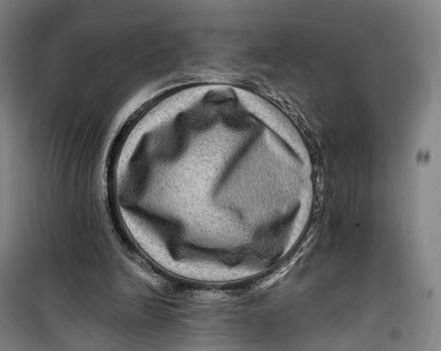 X0000099450246200805301519