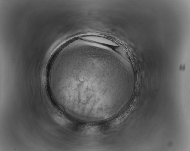 X0000099450247200805301519