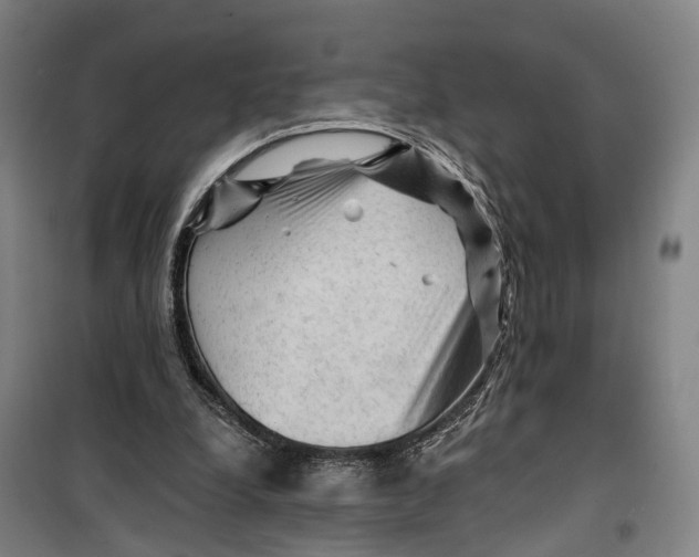 X0000099450248200805301519