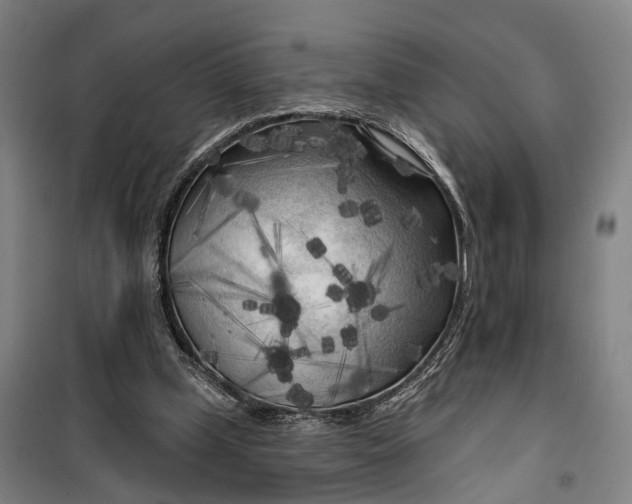 X0000099450249200805301519