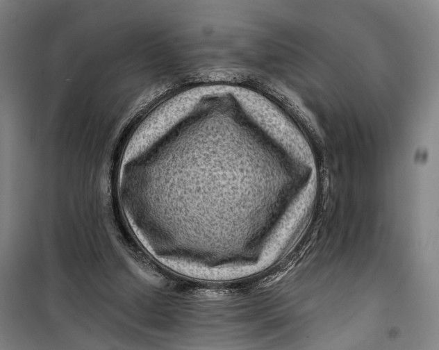 X0000099450250200805301519