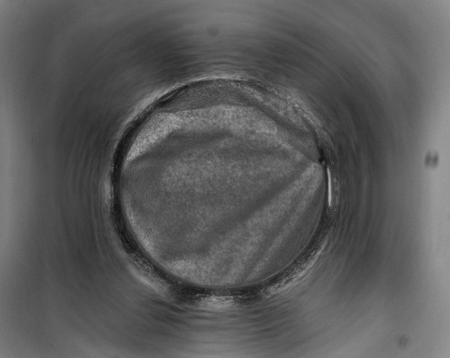 X0000099450252200805301519