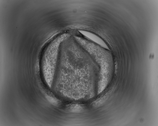 X0000099450254200805301519