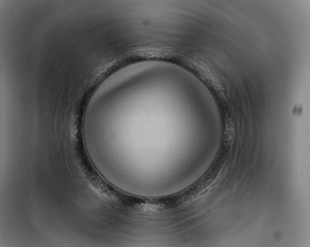 X0000099450255200805301519