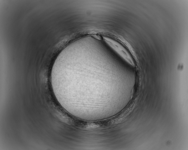 X0000099450257200805301519