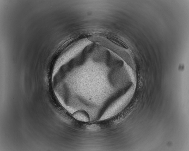 X0000099450258200805301519