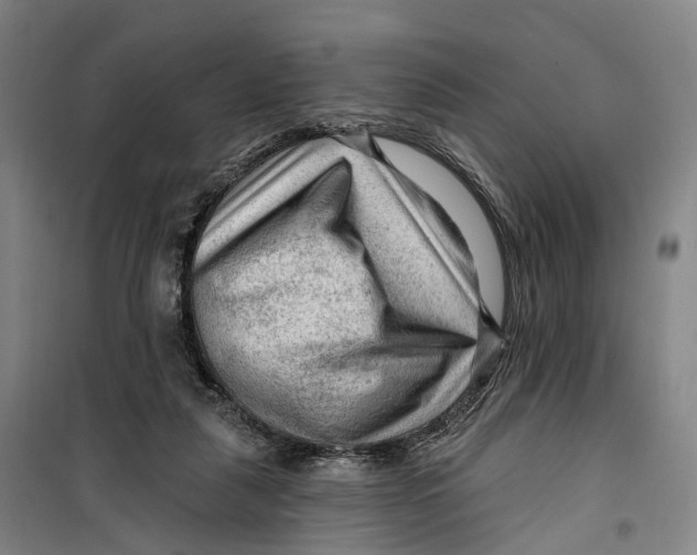 X0000099450259200805301519