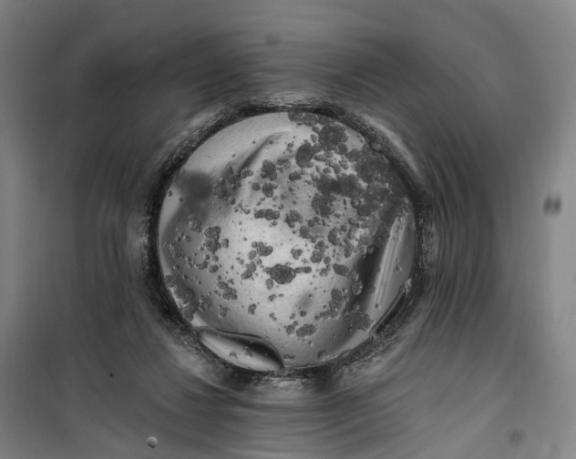 X0000099450260200805301519